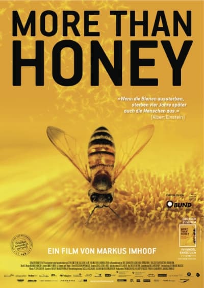 Filmplakat More Than Honey